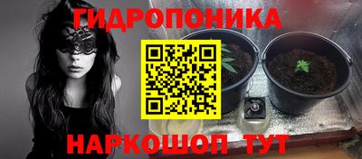 стафф Пугачёв