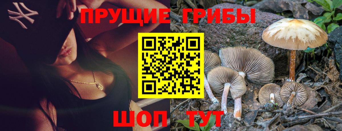 Саянск  Псилоцибиновые грибы мухоморы  Вход с VPN 